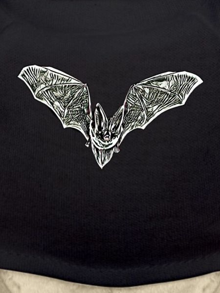 bat