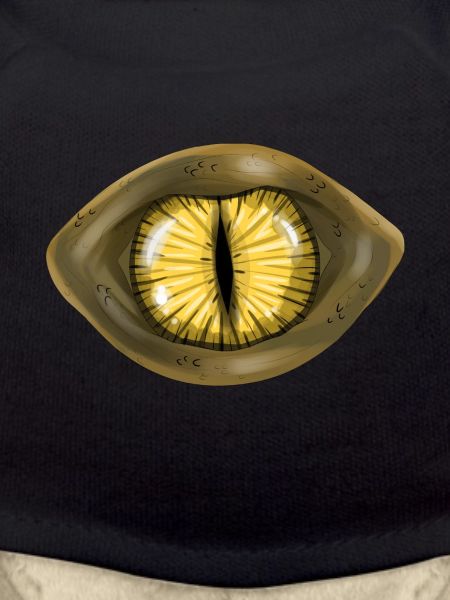 Auge Reptil Echse