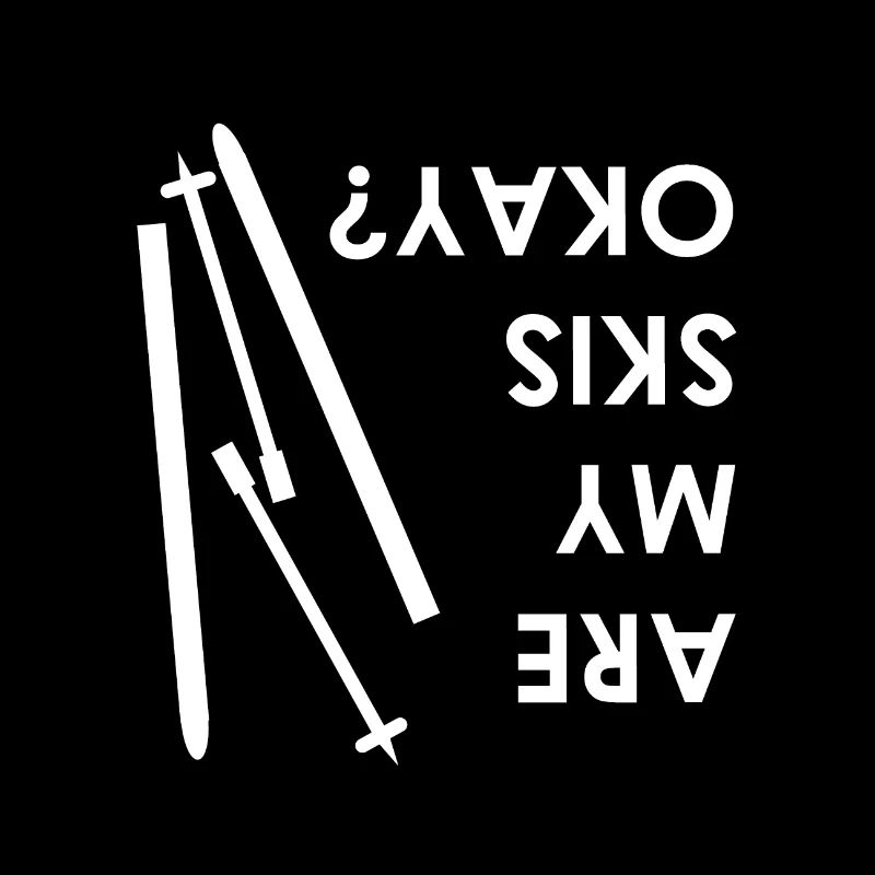 Are my Skis okay? Ski Winter Unfall