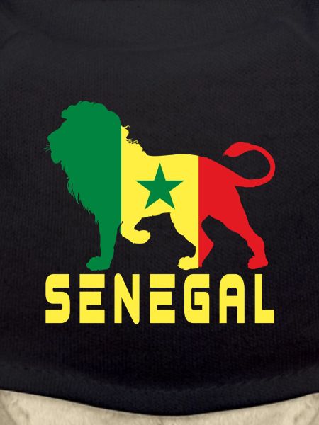 Senegal lion