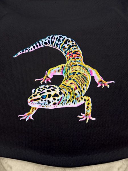 Gecko