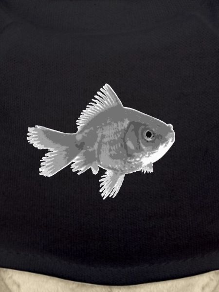Goldfish