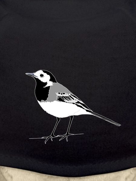 Wagtail