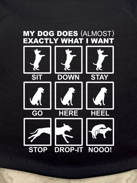 Dog training