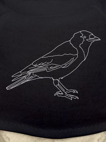 Jackdaw lineart