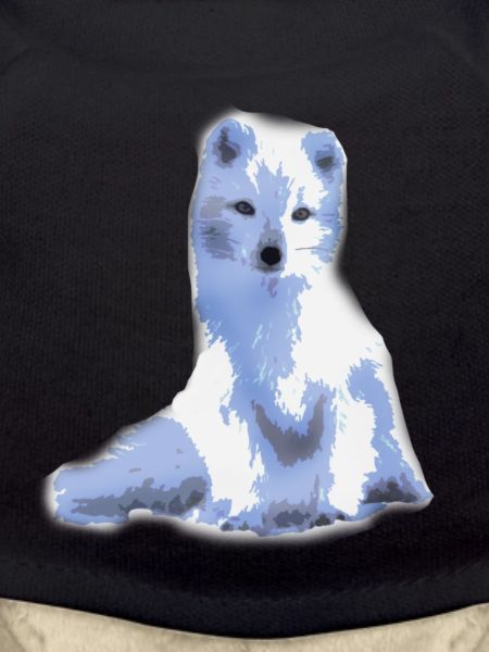 arctic foxy / arctic fox