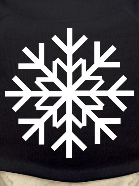 Ice crystal