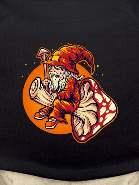 Dwarf wizard riding toadstool
