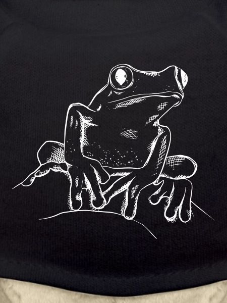 Frog with big eyes