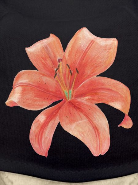 lily