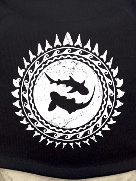 Zebra shark