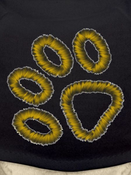 patte de tigre dorée