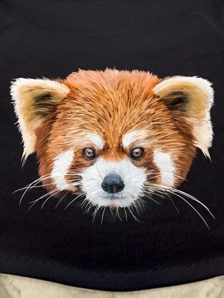 Petit panda