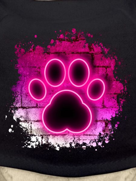 dog club