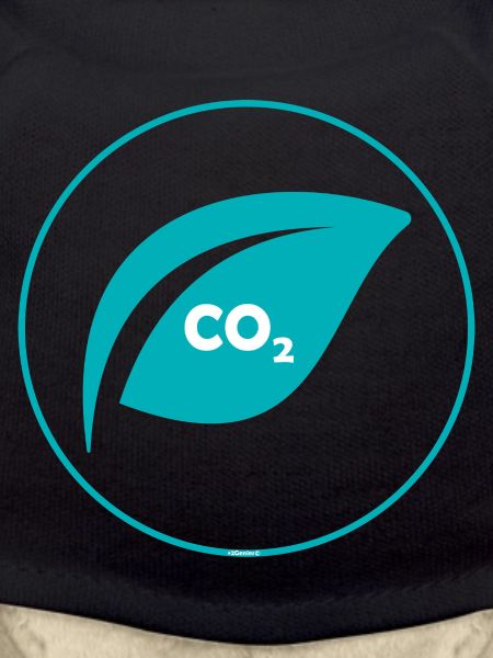 Design c02