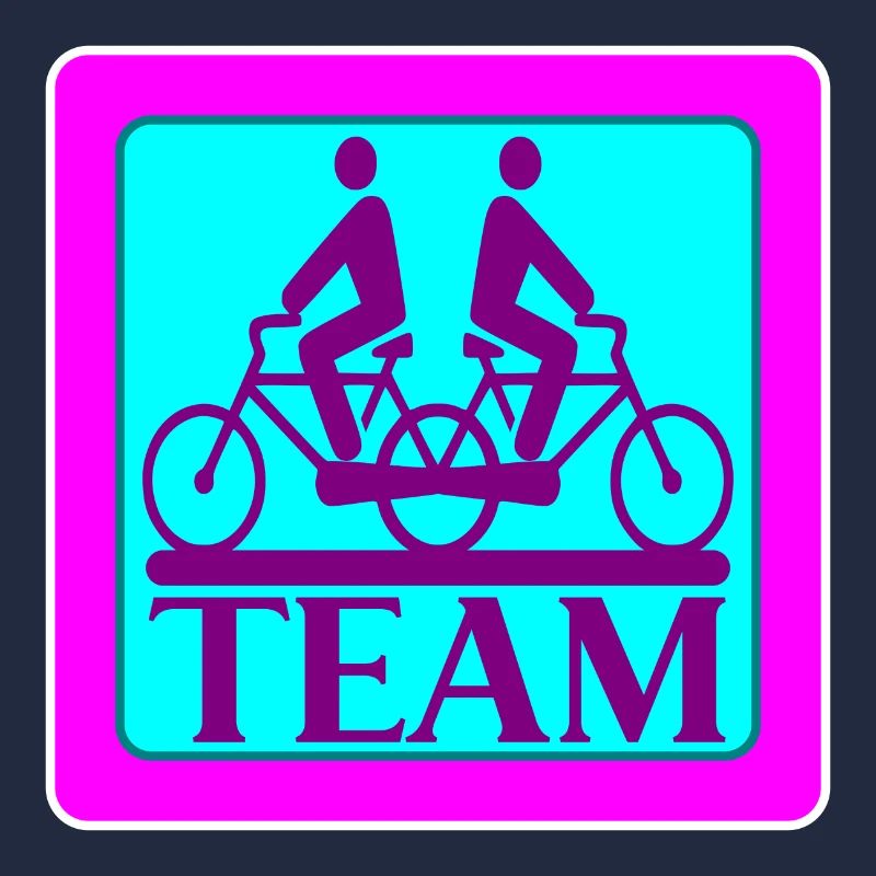 TEAM PROBLEMS - BICYCLE - STRATEGY
