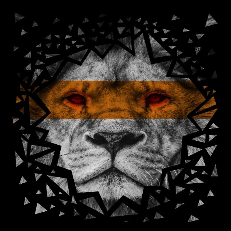 Lion - galata jaune rouge