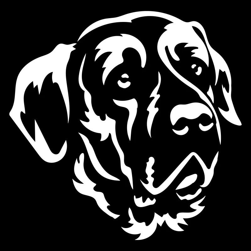 Tosa Head "Black Edition"