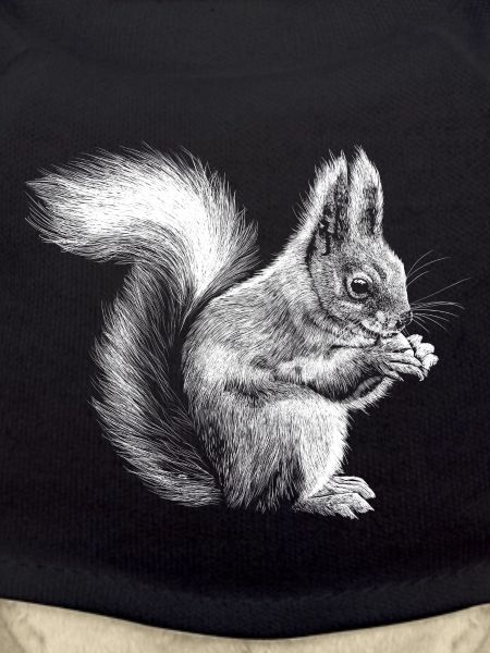 Eichhörnchen