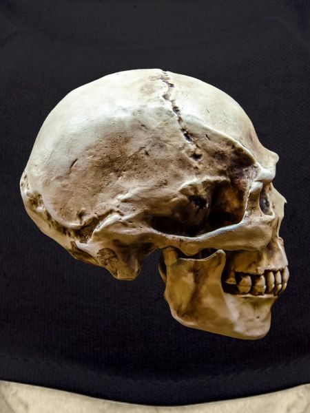 Skull – Skull