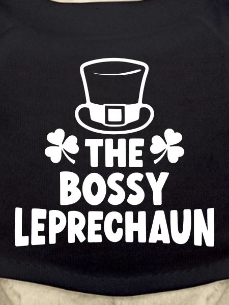The Bossy Leprechaun