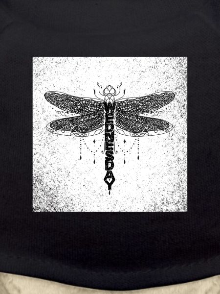 wednesday dragonfly
