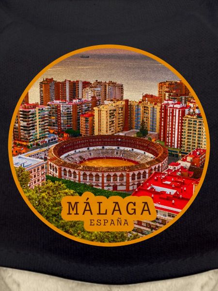 Malaga Bullring Panorama