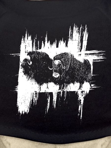 Les Bisons