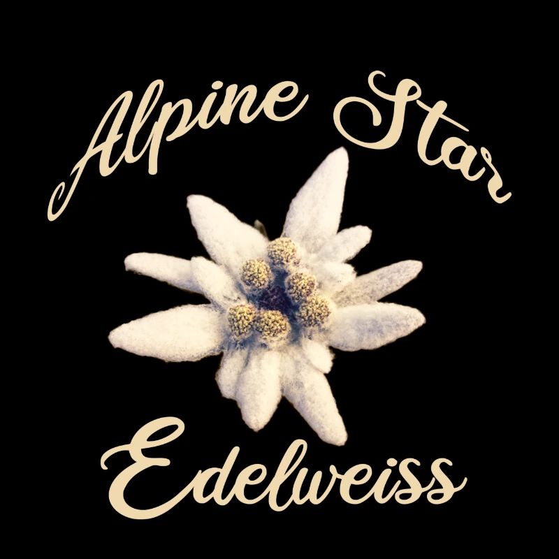 Alpine Star Edelweiss – Alpine Flower Design