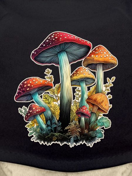 Mushrooms Toadstools