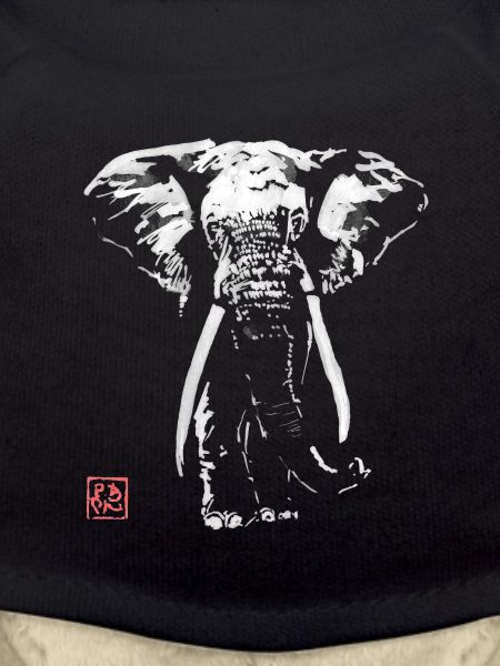 elephant in dark