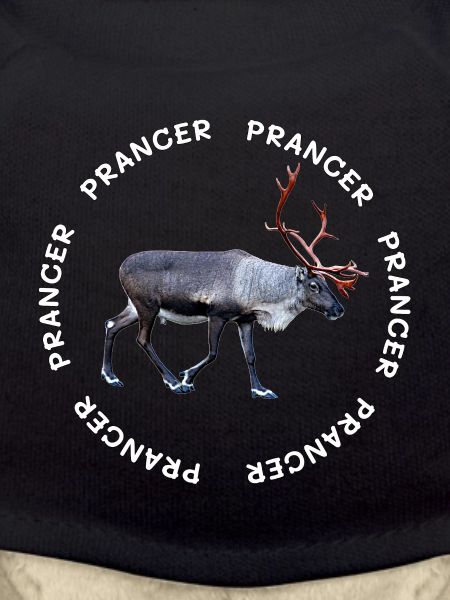 PRANCER