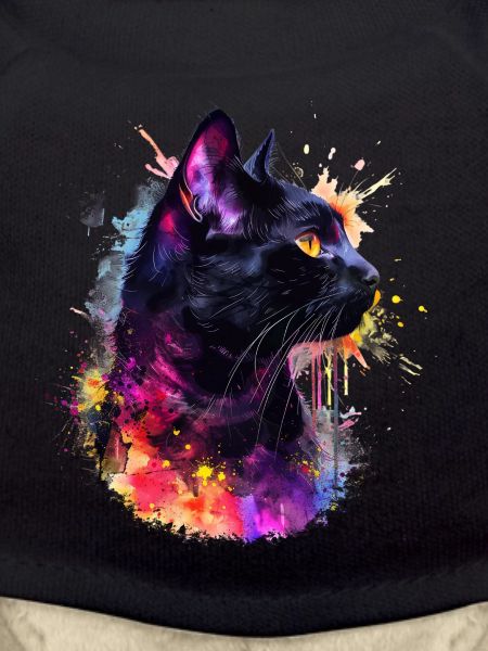 chat noir, black cat