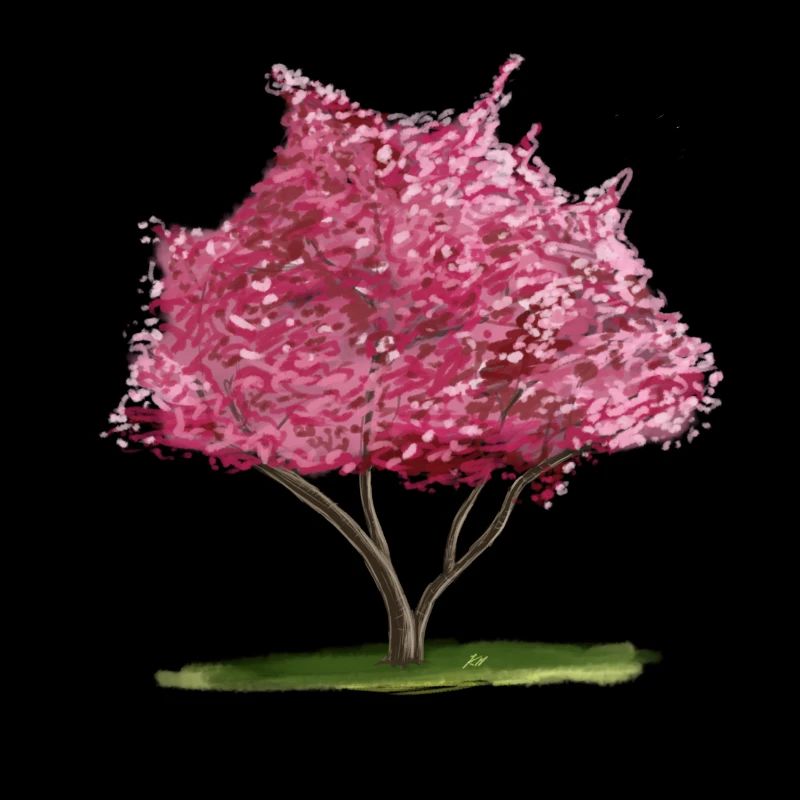 Cherry Sakura Pink Floral Tree