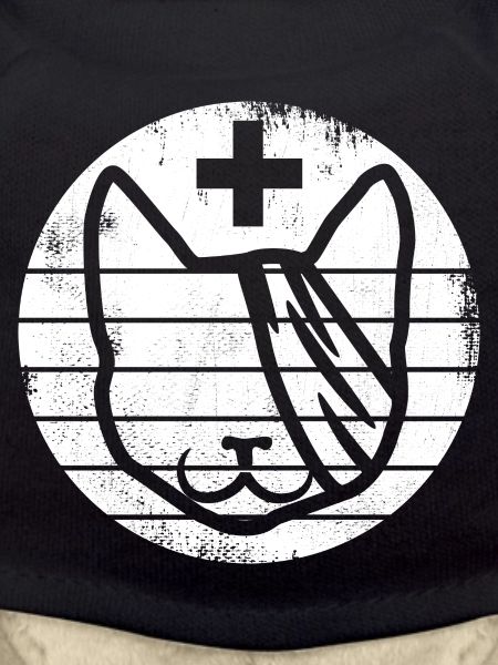 Premiers secours pour chats