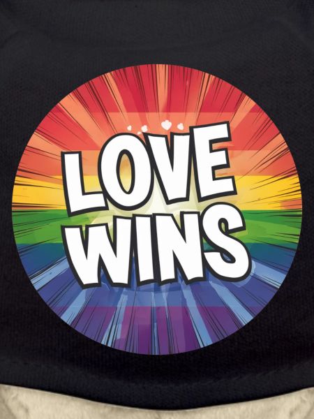 LGBTQ Love Wins