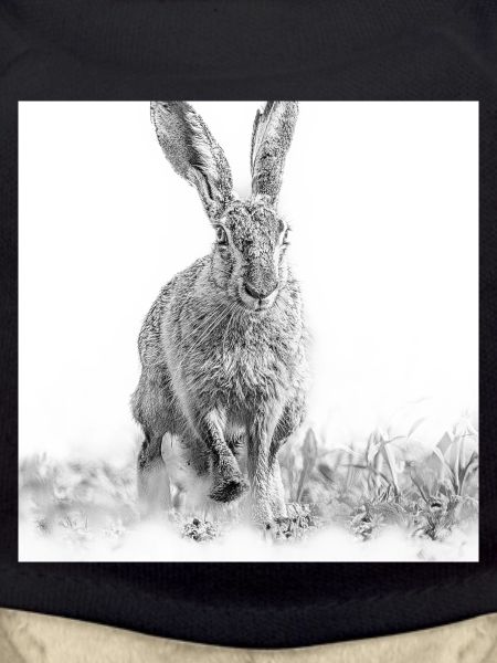 Hopping rabbit black white