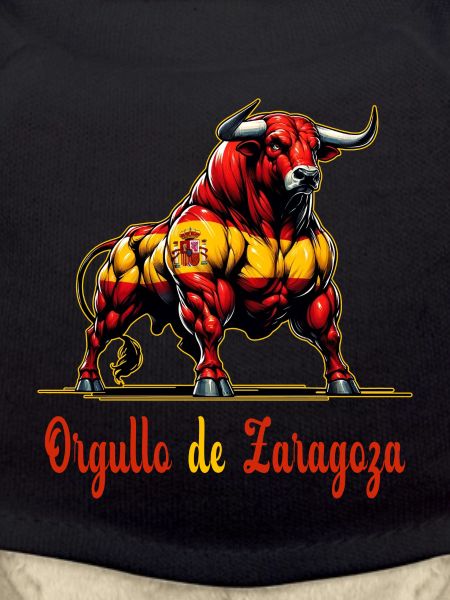 Pride Zaragoza flag design