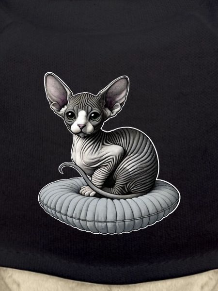 Petit chat Sphynx