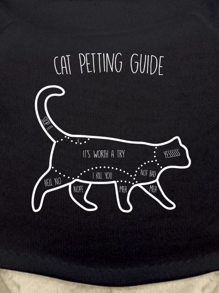 Cat Petting Guide