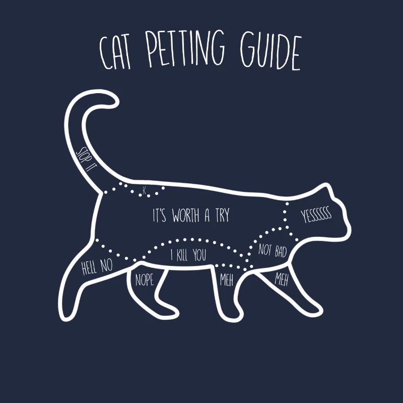 Guide de caresses pour chat