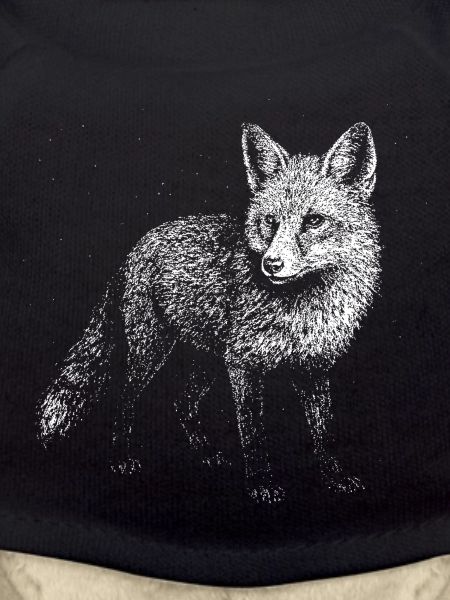 A fox