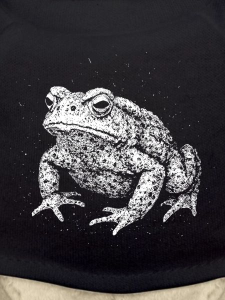 Kröte