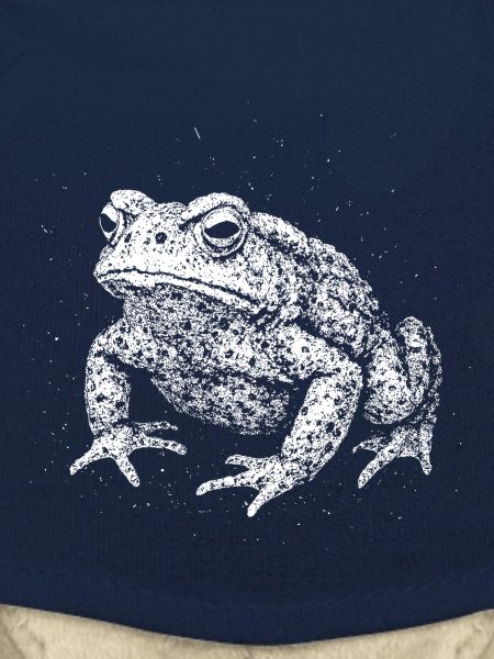 Toad