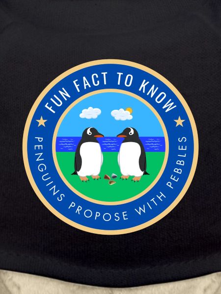 Penguins propose with pebbles