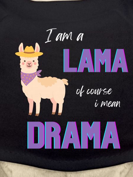 Llama with Hat Saying T-Shirt