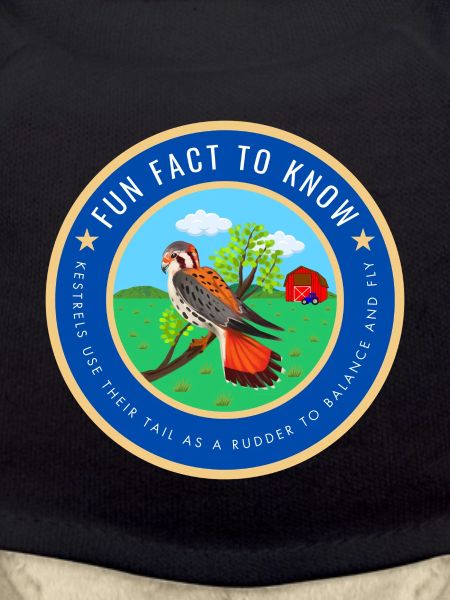 Kestrel fact