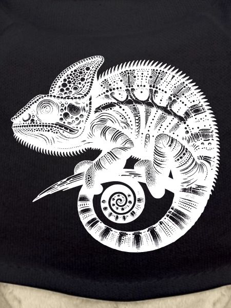 Tropical Lizard Wonder Exotic Lizard