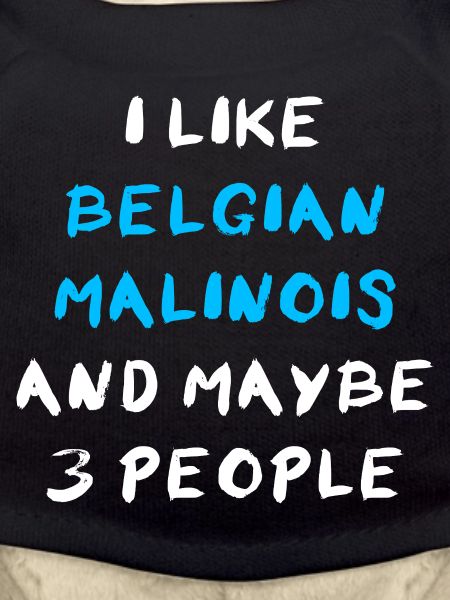 Belgian Malinois