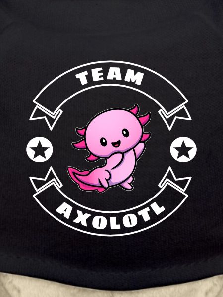 L’équipe Axolotl